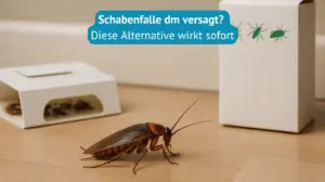 schabenfalle dm
