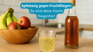 apfelessig gegen fruchtfliegen