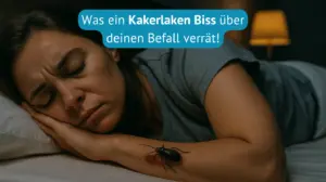 kakerlaken biss