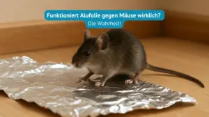 alufolie gegen mäuse