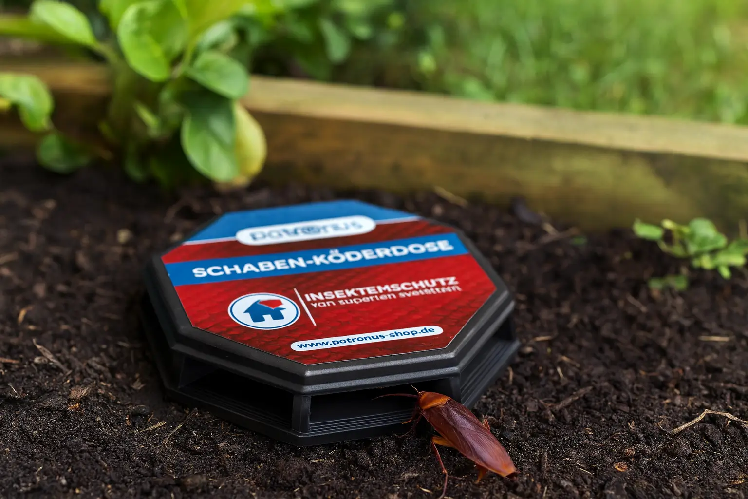 was du tun kannst um den ernstfall zu vermeiden-schaben im Garten