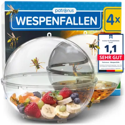 Wespenfalle