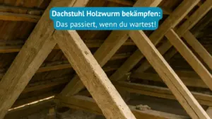dachstuhl holzwurm bekämpfen