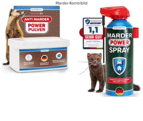 Patronus Marder Power Spray 400ml - Marder Komplettpaket
