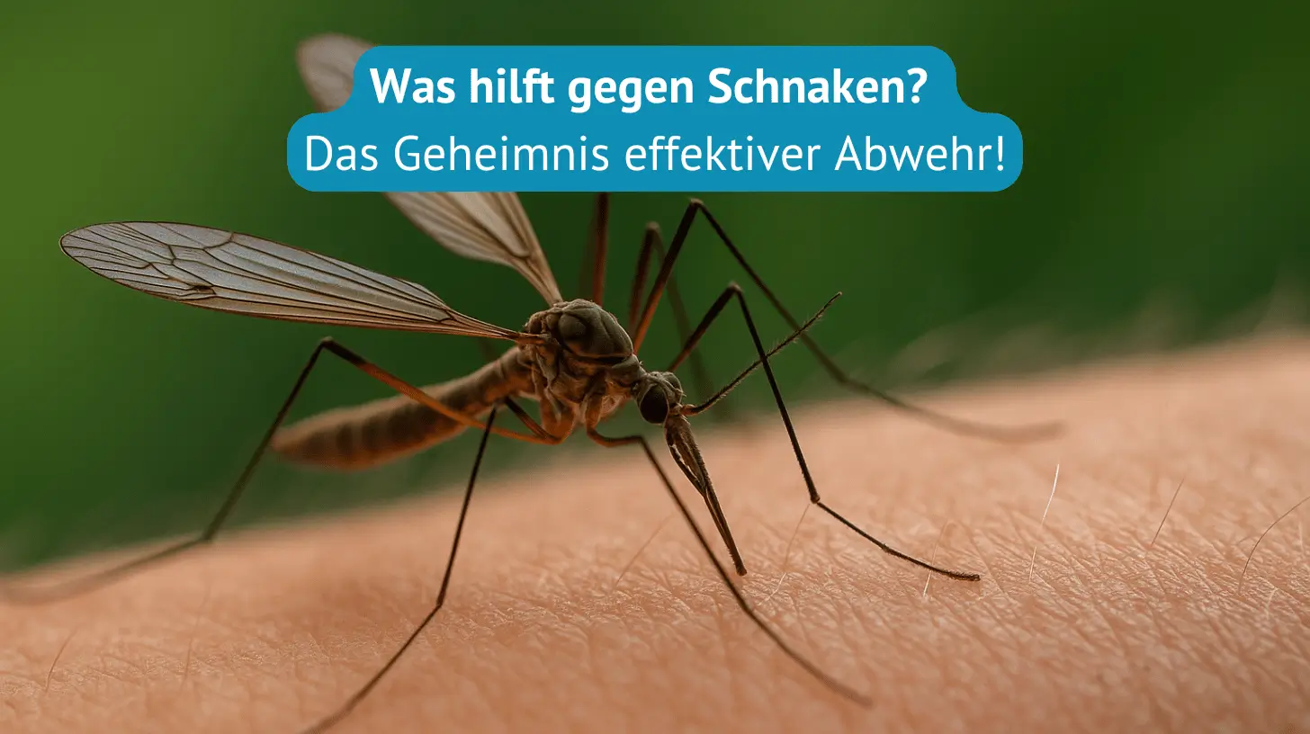 was hilft gegen schnaken