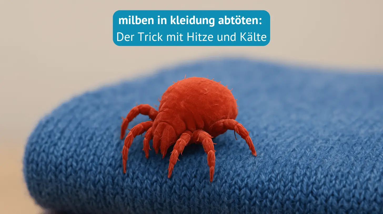 milben in kleidung abtöten