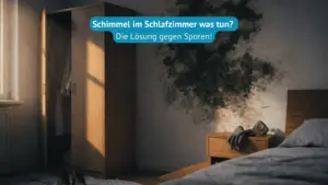 schimmel im schlafzimmer was tun