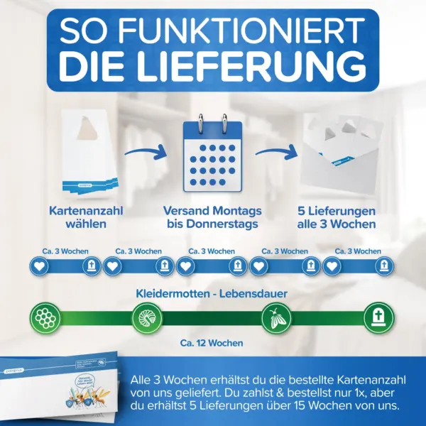 motten bekämpfung kleiderschrank