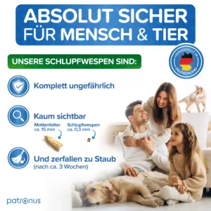 Kleidermotten loswerden