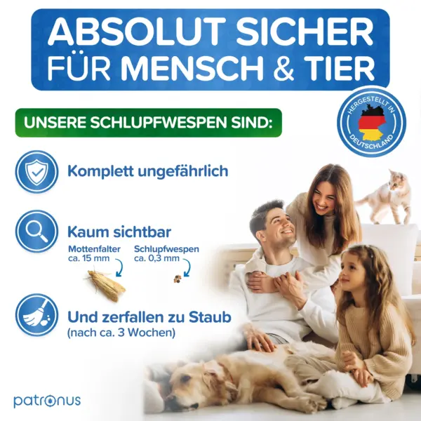 Kleidermotten loswerden