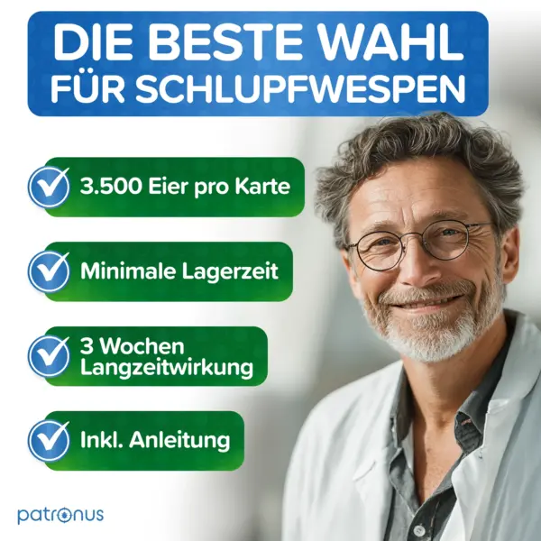 Kleidermotten bekämpfen