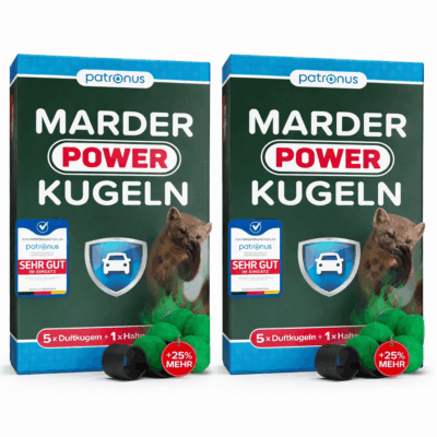 marder im auto