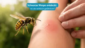stachelwespe beitrag