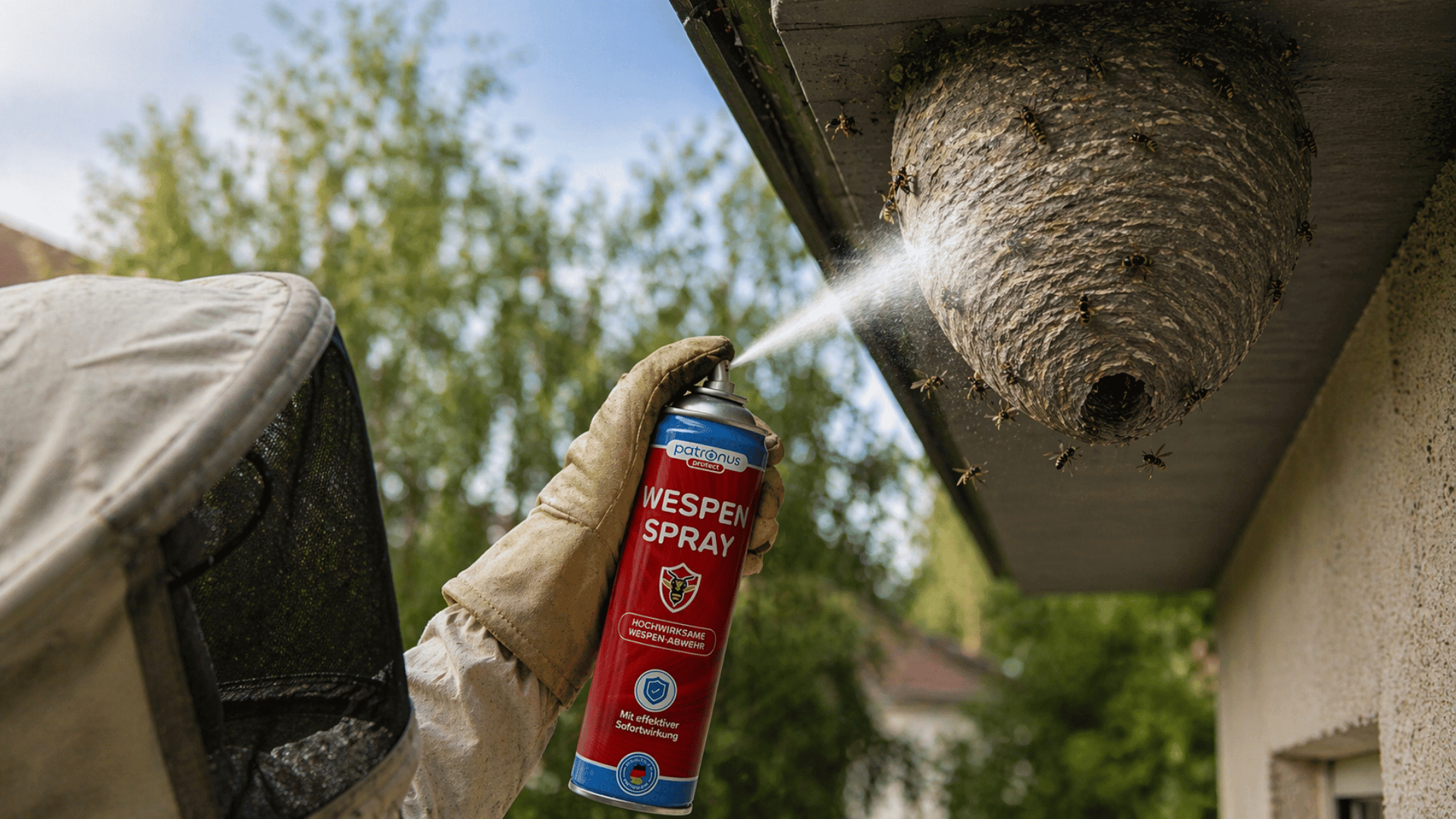 wespennest entfernen