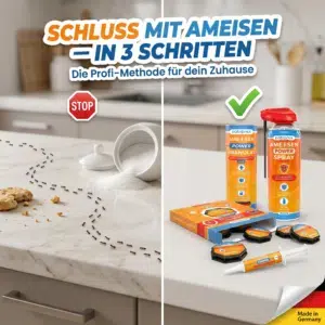 ameisen im blumentopf
