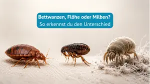 Bettwanzen, Flöhe oder Milben?
