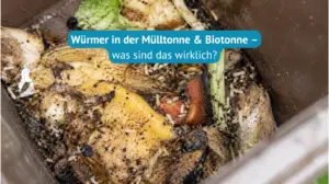 Würmer in der Mülltonne