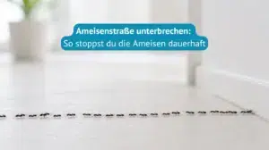 ameisenstraße-unterbrechen-Titel