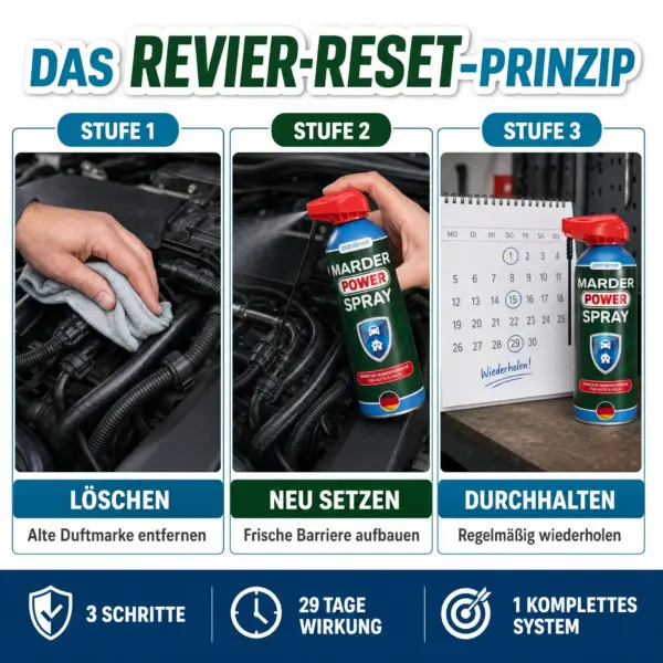 Das Revier-Reset-Prinzip von Patronus – Löschen, Neu setzen, Durchhalten gegen Marder