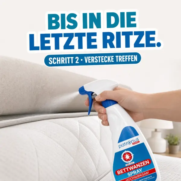 Schritt 2: Bettwanzen Spray bis in die letzte Ritze