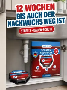 Schwarze Schaben-Köderdose diskret in der Küchenecke für langanhaltenden Schutz