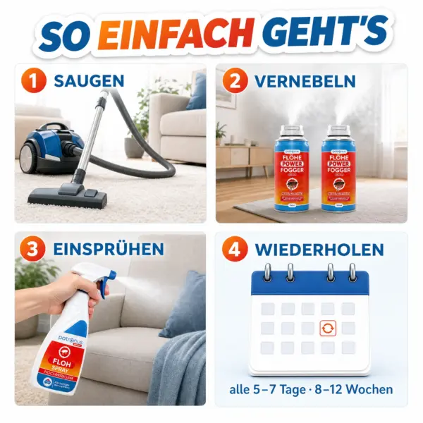Anleitung Flohbekämpfung: Saugen, Vernebeln, Einsprühen, Wiederholen