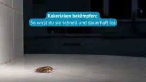 Kakerlaken-bekämpfen-Titel