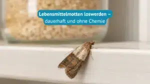 Lebensmittelmotten-loswerden