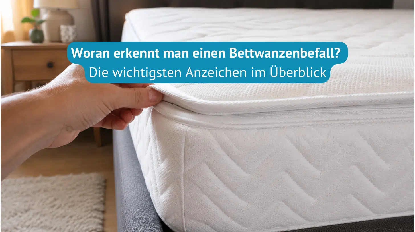 Woran-erkennt-man-Bettwanzen