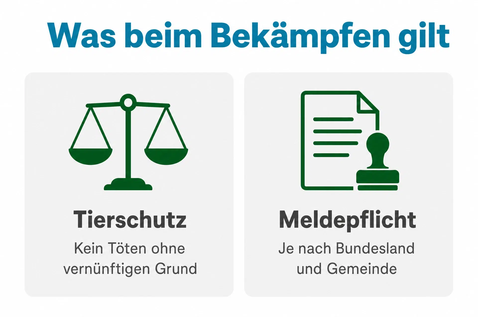 Ratten töten Hausmittel und Recht: Tierschutzgesetz und Meldepflicht im Überblick
